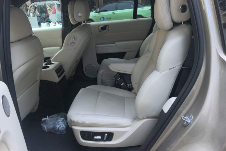 Used Li Auto L9 2022 Max model Left Rear Seat