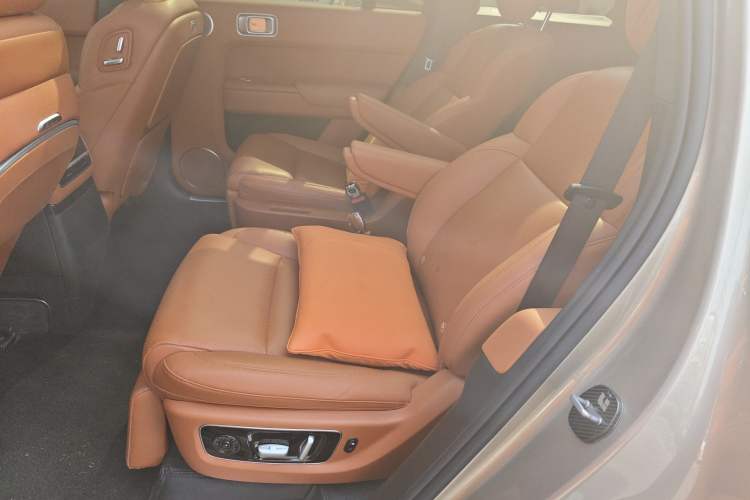 Used Li Auto L9 2022 Max model Left Rear Seat