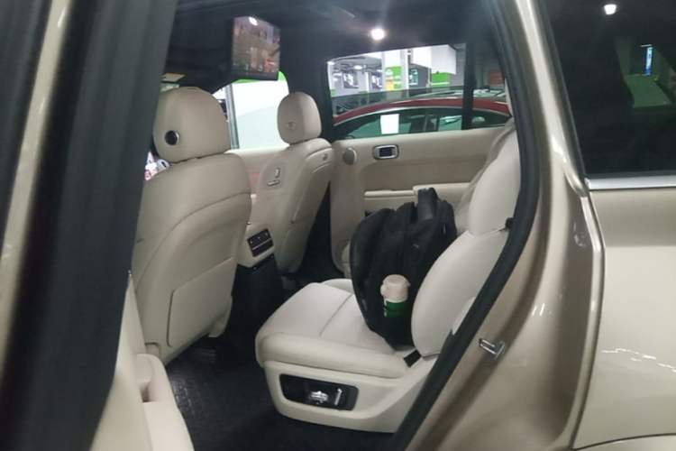 Used Li Auto L9 2022 Max model Left Rear Seat