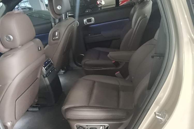 Used Li Auto L9 2022 Max model Left Rear Seat