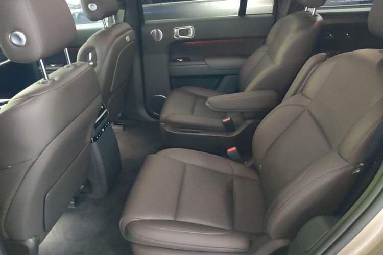 Used Li Auto L9 2022 Max model Left Rear Seat