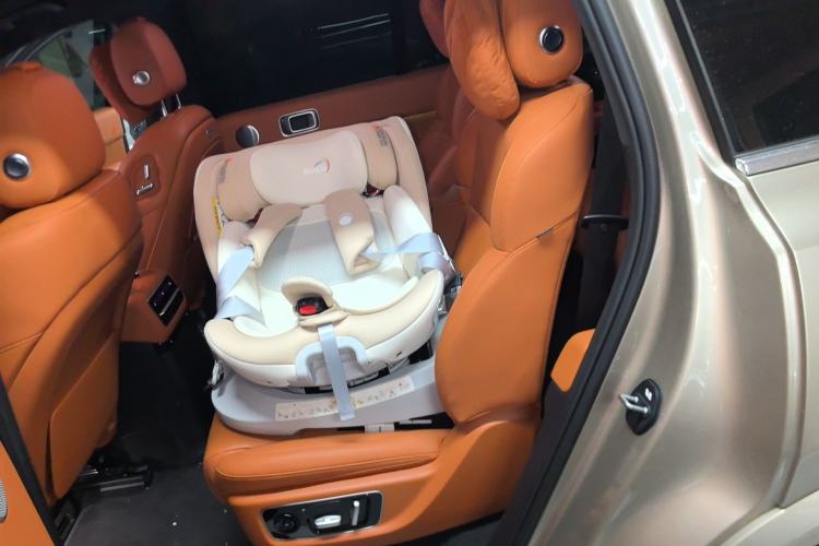 Used Li Auto L9 2022 Max model Left Rear Seat