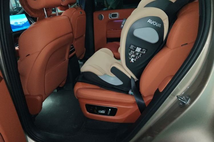 Used Li Auto L9 2022 Max model Left Rear Seat