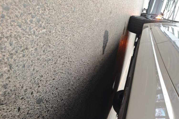 Used Li Auto L9 2022 Max model Left Side Sill