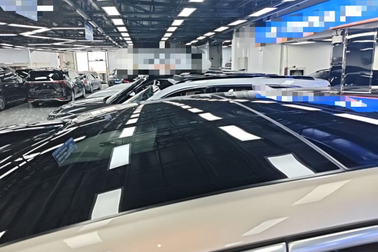 Used Li Auto L9 2022 Max model Roof