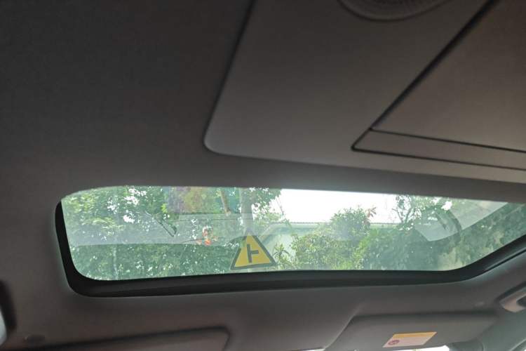 Used Li Auto L9 2022 Max model Headliner
