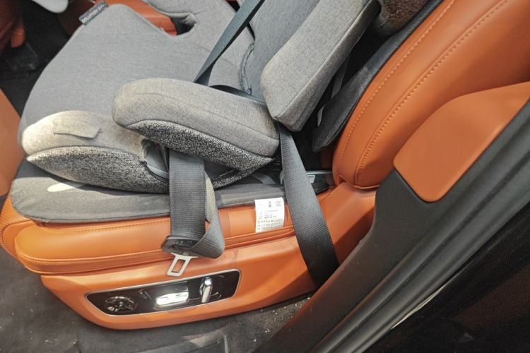 Used Li Auto L9 2022 Max model Left Rear Seat