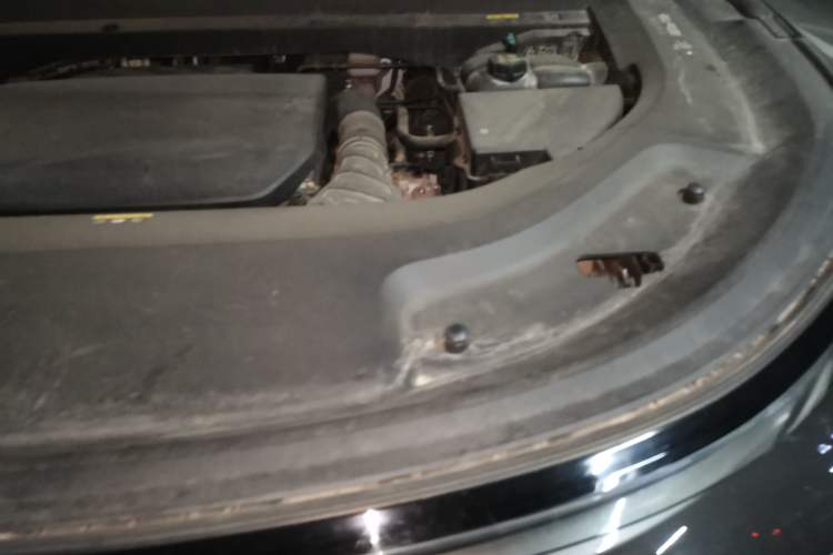 Used Li Auto L9 2022 Max model Engine Bay Left