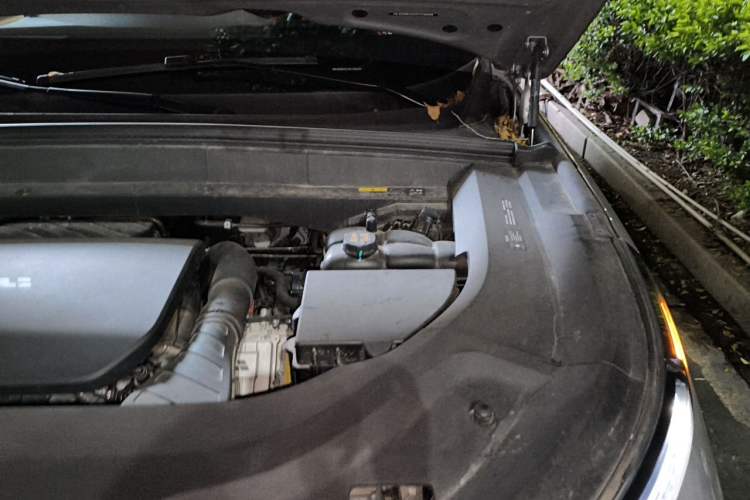 Used Li Auto L9 2022 Max model Engine Bay Left