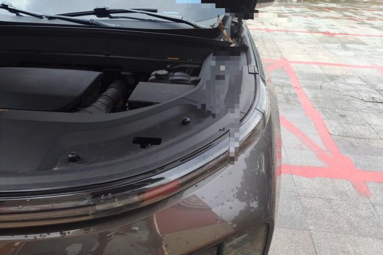 Used Li Auto L9 2022 Max model Engine Bay Left