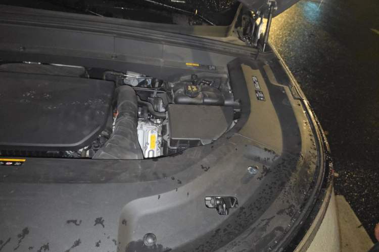 Used Li Auto L9 2022 Max model Engine Bay Left