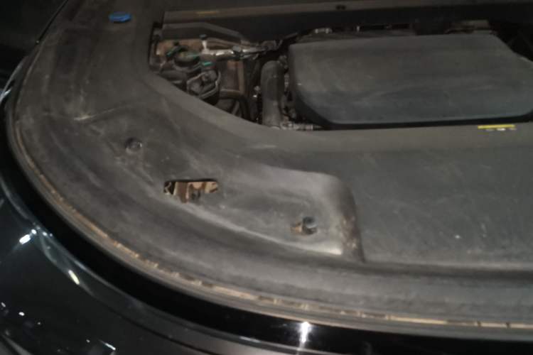 Used Li Auto L9 2022 Max model Engine Bay Right