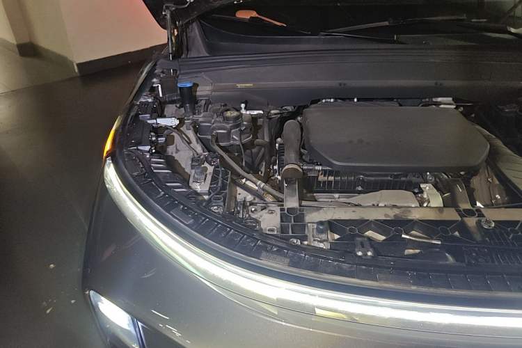 Used Li Auto L9 2022 Max model Engine Bay Right