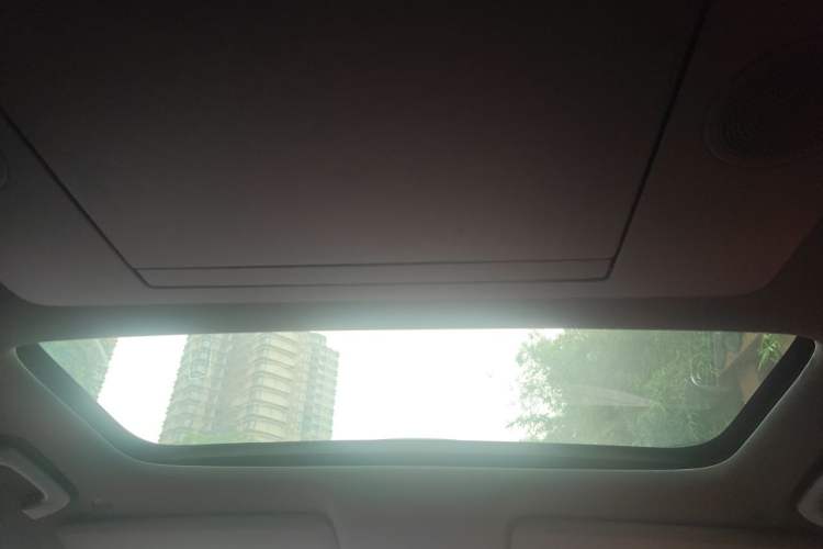 Used Li Auto L9 2022 Max model Headliner