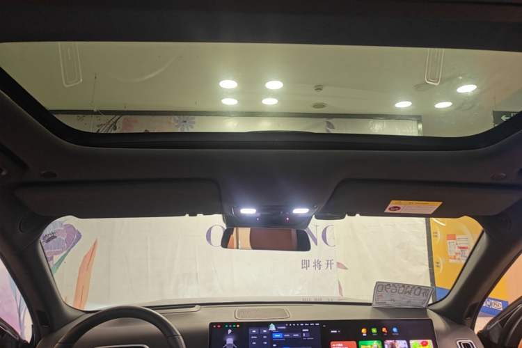 Used Li Auto L9 2022 Max model Headliner