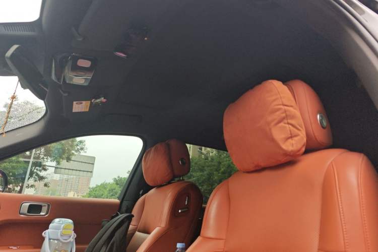 Used Li Auto L9 2022 Max model Headliner