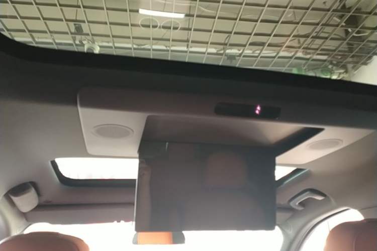 Used Li Auto L9 2022 Max model Headliner