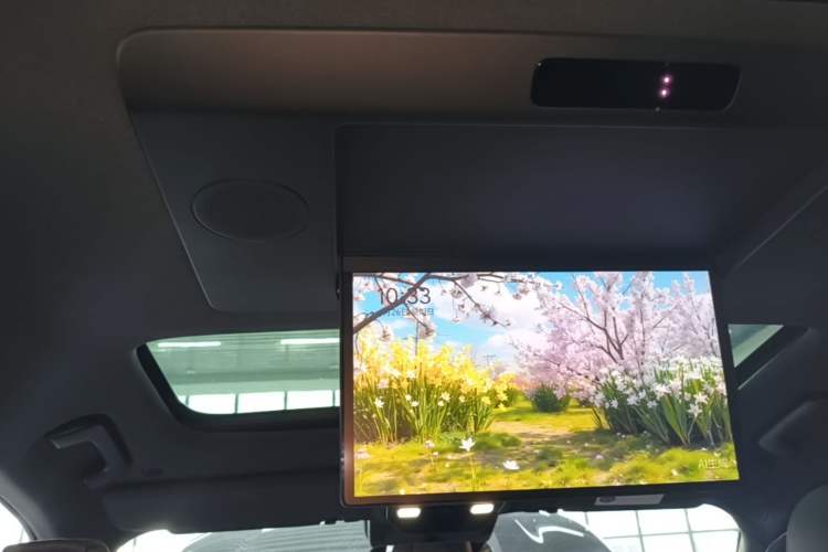 Used Li Auto L9 2022 Max model Headliner
