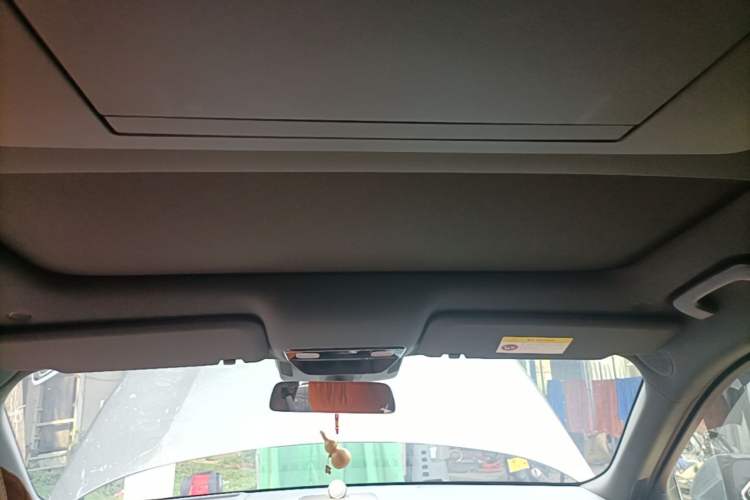 Used Li Auto L9 2022 Max model Headliner