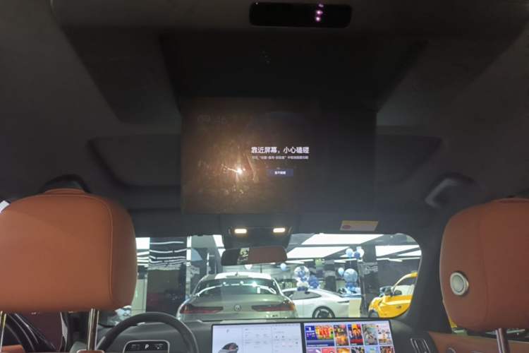 Used Li Auto L9 2022 Max model Headliner