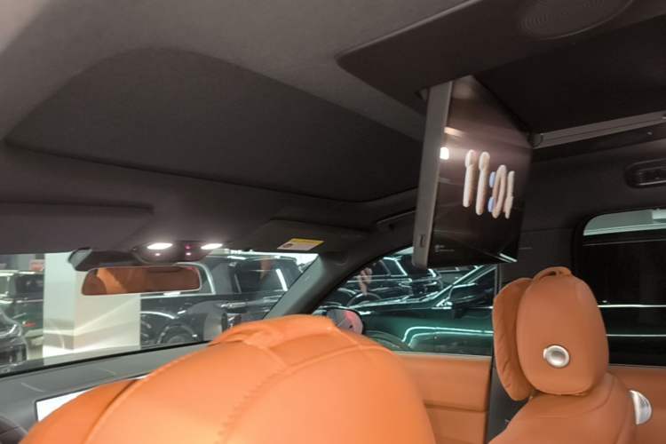 Used Li Auto L9 2022 Max model Headliner