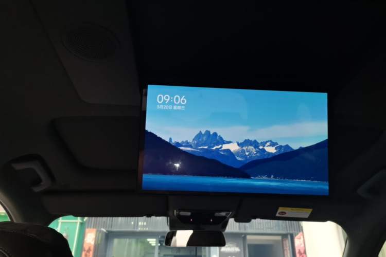 Used Li Auto L9 2022 Max model Headliner