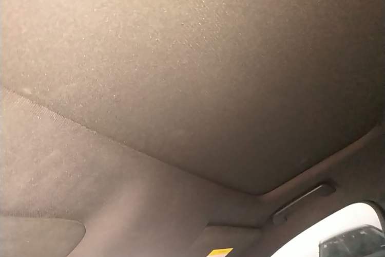 Used Li Auto L9 2022 Max model Headliner