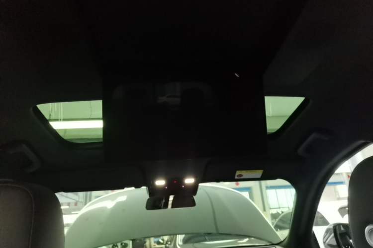 Used Li Auto L9 2022 Max model Headliner