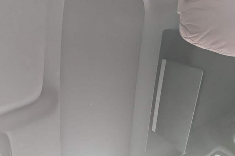 Used Li Auto L9 2022 Max model Headliner