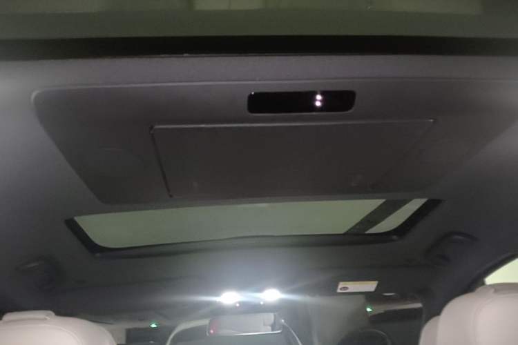 Used Li Auto L9 2022 Max model Headliner