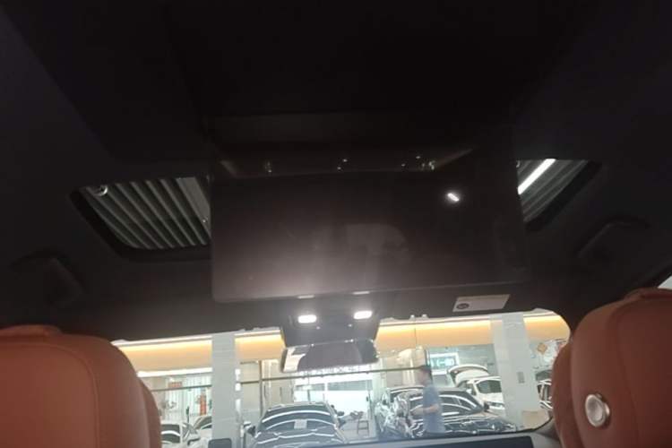 Used Li Auto L9 2022 Max model Headliner