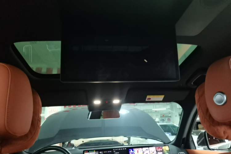 Used Li Auto L9 2022 Max model Headliner