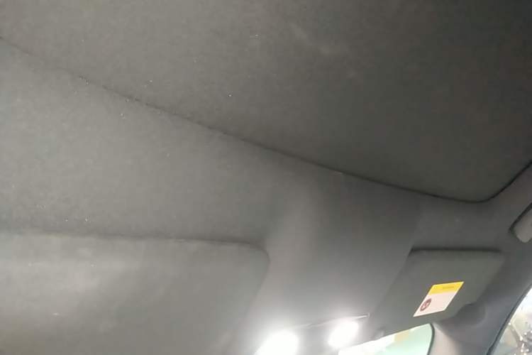 Used Li Auto L9 2022 Max model Headliner