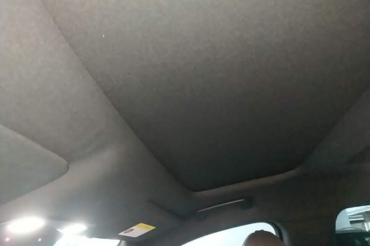 Used Li Auto L9 2022 Max model Headliner