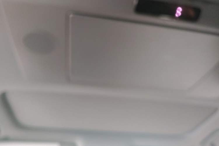 Used Li Auto L9 2022 Max model Headliner