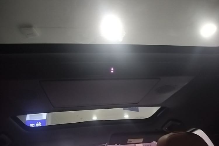 Used Li Auto L9 2022 Max model Headliner