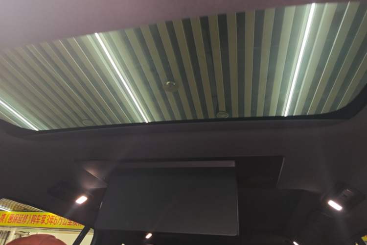 Used Li Auto L9 2022 Max model Headliner
