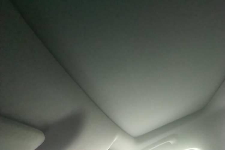 Used Li Auto L9 2022 Max model Headliner