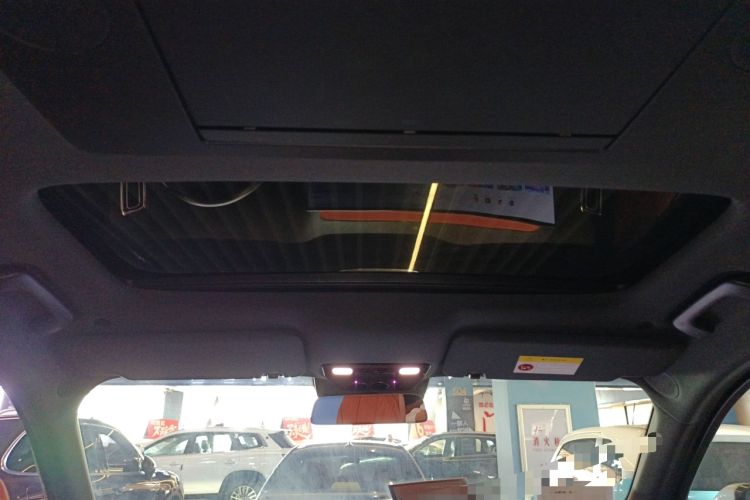 Used Li Auto L9 2022 Max model Headliner