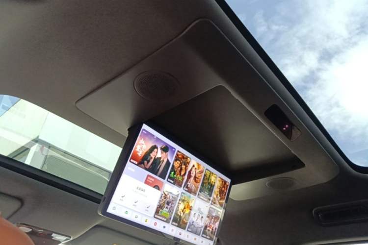 Used Li Auto L9 2022 Max model Headliner