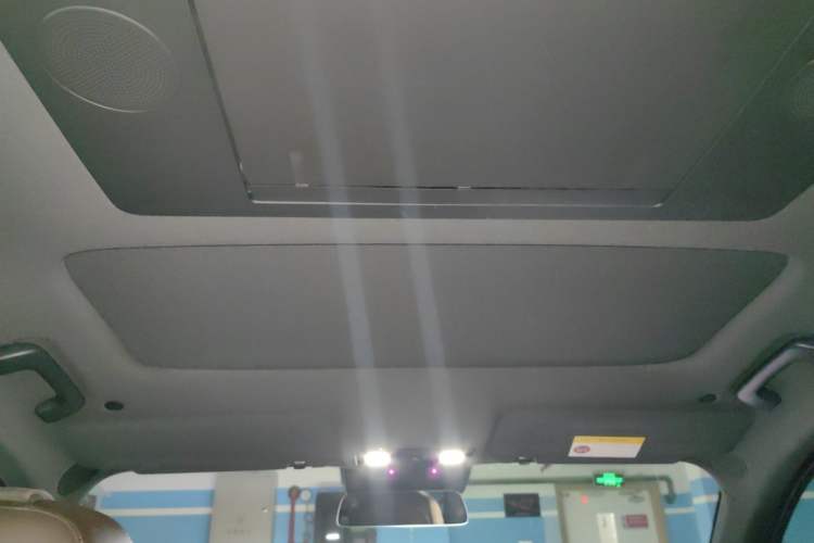 Used Li Auto L9 2022 Max model Headliner