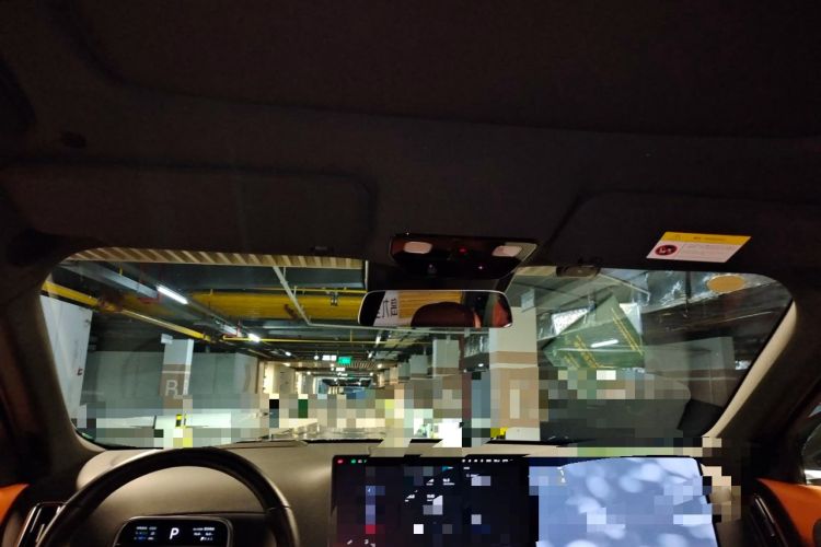 Used Li Auto L9 2022 Max model Headliner