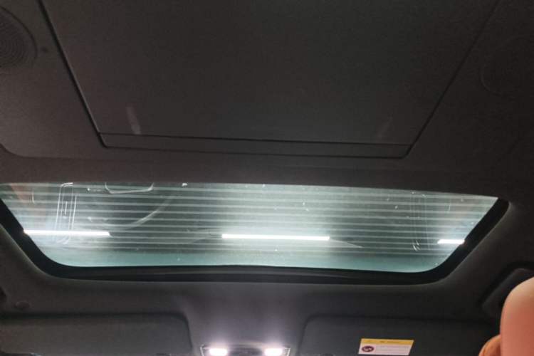 Used Li Auto L9 2022 Max model Headliner