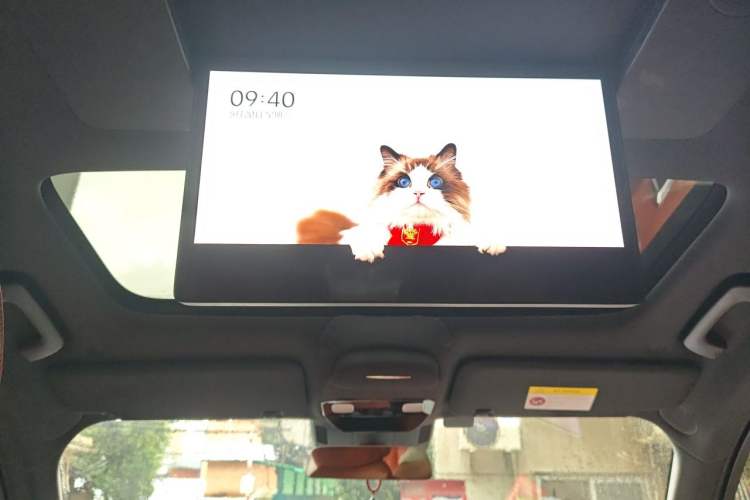 Used Li Auto L9 2022 Max model Headliner