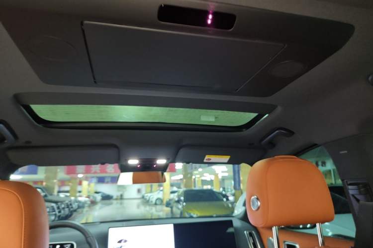 Used Li Auto L9 2022 Max model Headliner