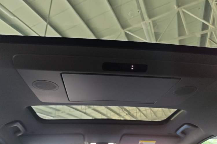 Used Li Auto L9 2022 Max model Headliner