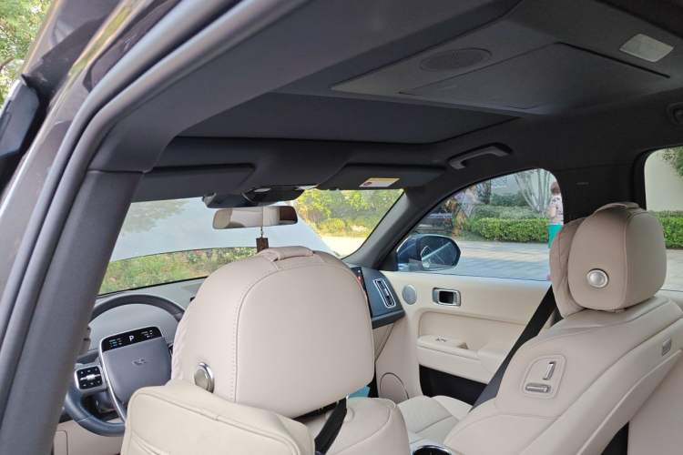 Used Li Auto L9 2022 Max model Headliner