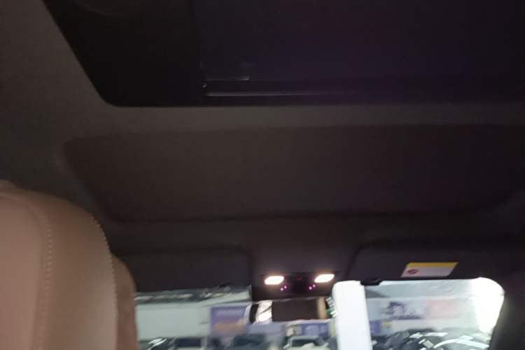 Used Li Auto L9 2022 Max model Headliner