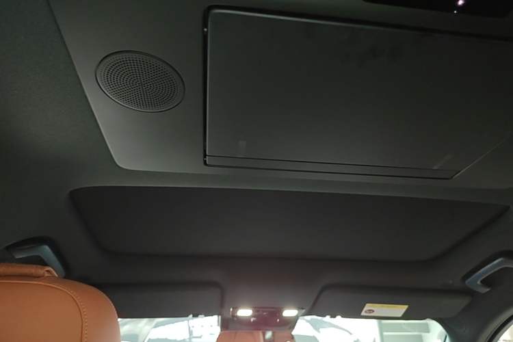 Used Li Auto L9 2022 Max model Headliner