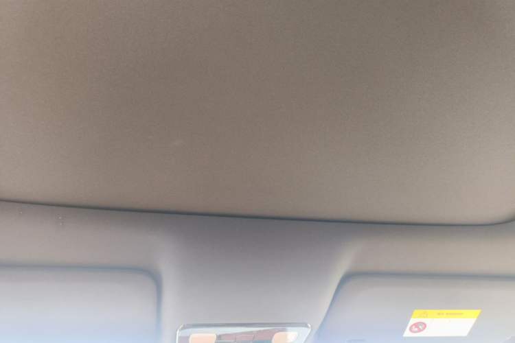 Used Li Auto L9 2022 Max model Headliner